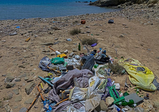 垃圾 废塑料 海滩 - 上的免费照片