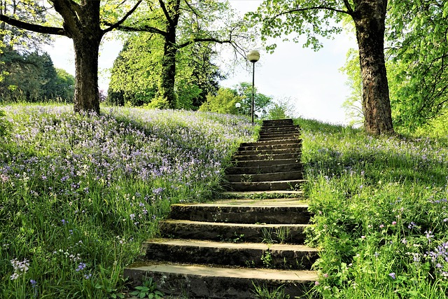 楼梯 公园 花园 Baden - 上的免费照片