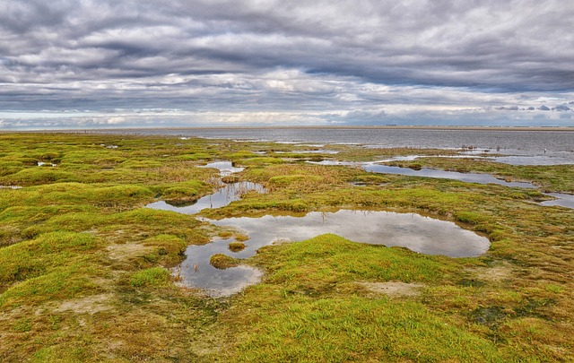 Ameland 海 北海 - 上的免费照片