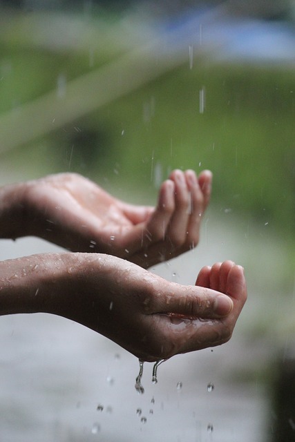 人们 雨 水 - 上的免费照片