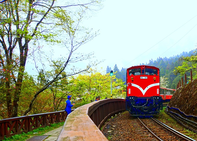 阿里山 火車 - 上的免费照片