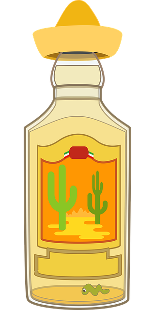 形象的 龙舌兰酒 龙舌兰酒瓶 - 免费矢量图形