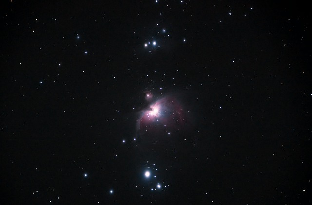 M42 空间 天文学 - 上的免费照片