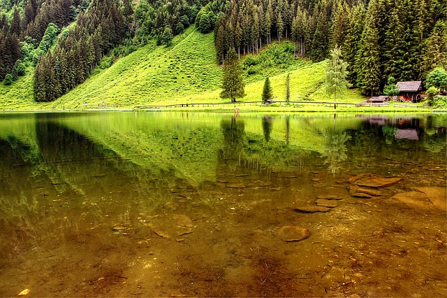 康斯坦茨湖 克莱 奥地利 - 上的免费照片