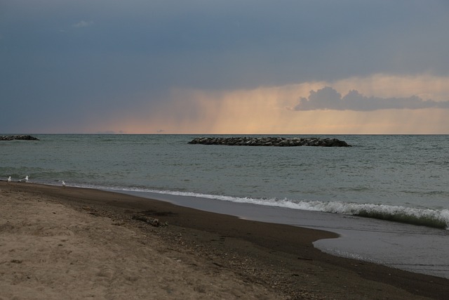 普雷斯克岛 宾夕法尼亚州 海滩 - 上的免费照片