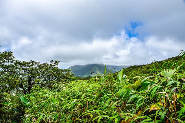 La苏弗里耶尔火山 桌石 火山 - 上的免费照片