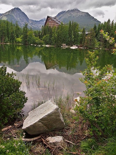 山下湖 反射水 高上塔特拉山 - 上的免费照片