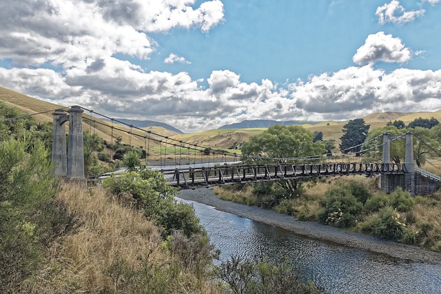 新西兰 斯普林维尔的吊桥 北岛 - 上的免费照片
