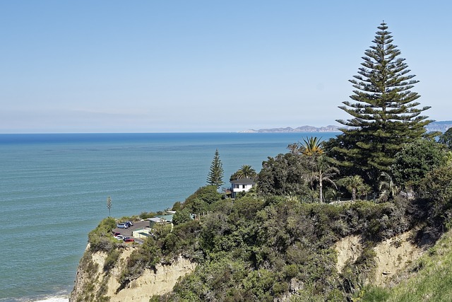 新西兰 纳皮尔 虚张声势山观景台 - 上的免费照片