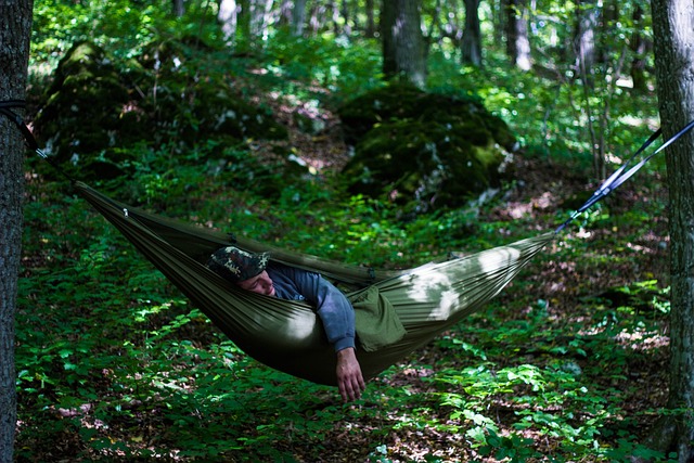 户外的 吊床 丛林工艺 - 上的免费照片