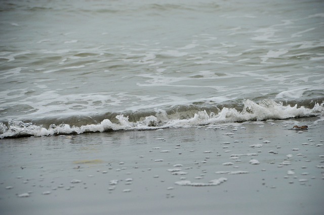 海 海滩 斯特拉海滩 Hauts De - 上的免费照片