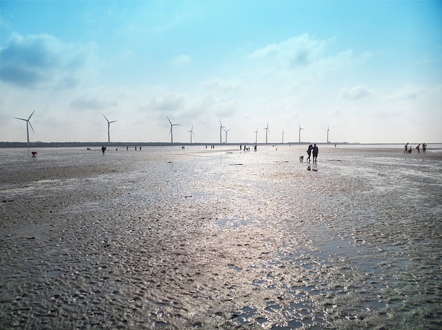 Wind Energy Taichung Wetlands - 上的免费照片