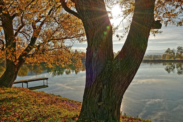 秋天的心情 Mill Pond 韦尼格罗德 - 上的免费照片