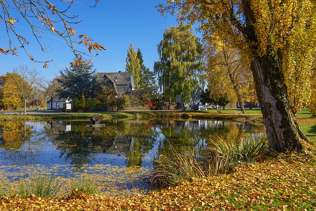 秋天的田园诗 池塘 书Hunsrück - 上的免费照片