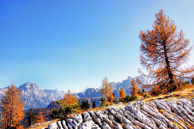 Croda Da Lago 白云岩 意大利 - 上的免费照片