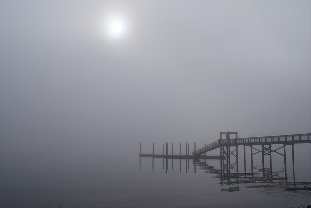 多雾路段 早晨 桥 - 上的免费照片