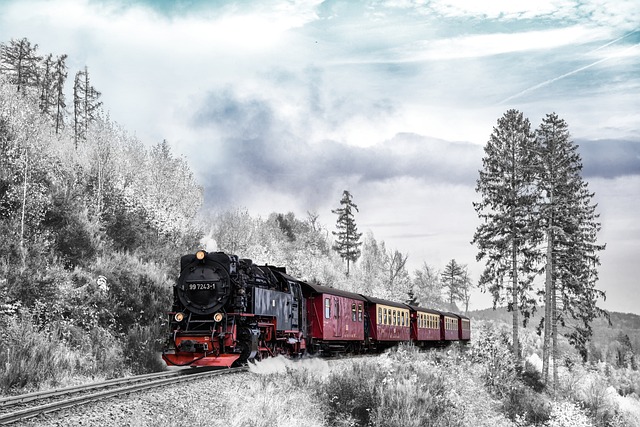 火车 运输 冬天 - 上的免费照片