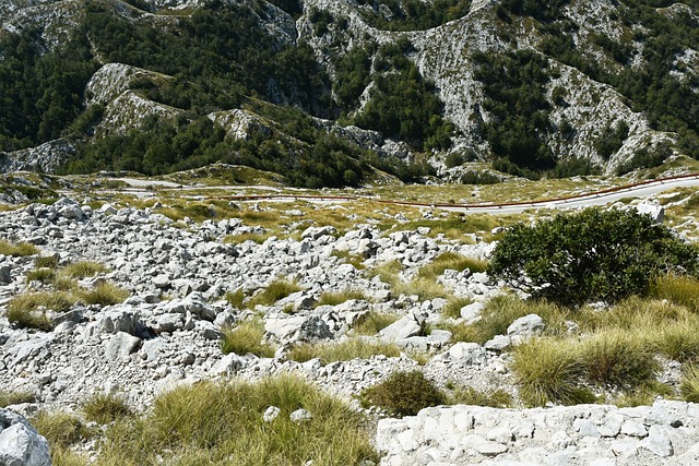 比奥科沃山自然公园 克罗地亚 山路 - 上的免费照片