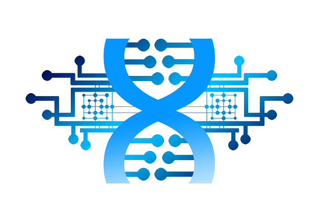 Dna 演化 技术 - 上的免费图片