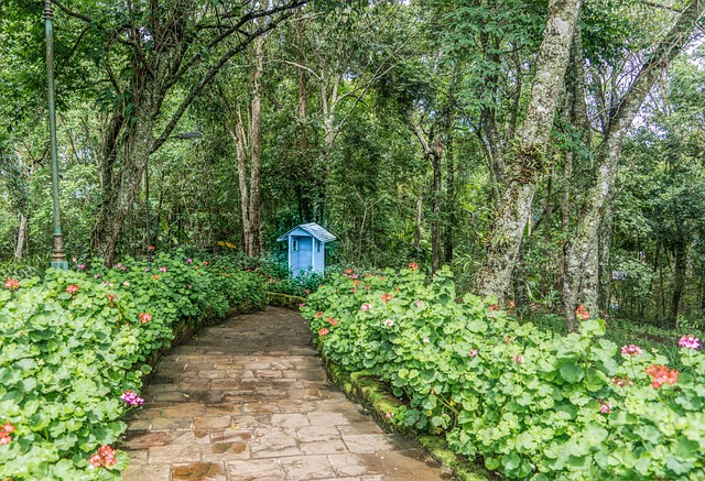 植物园 石路 花朵 - 上的免费照片