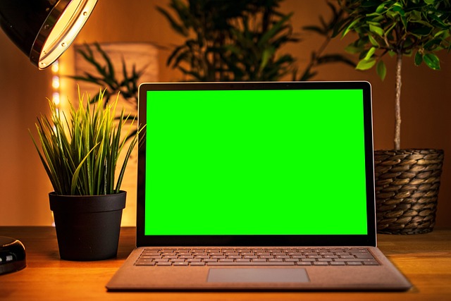 笔记本电脑 计算机 绿色屏幕 - 上的免费照片