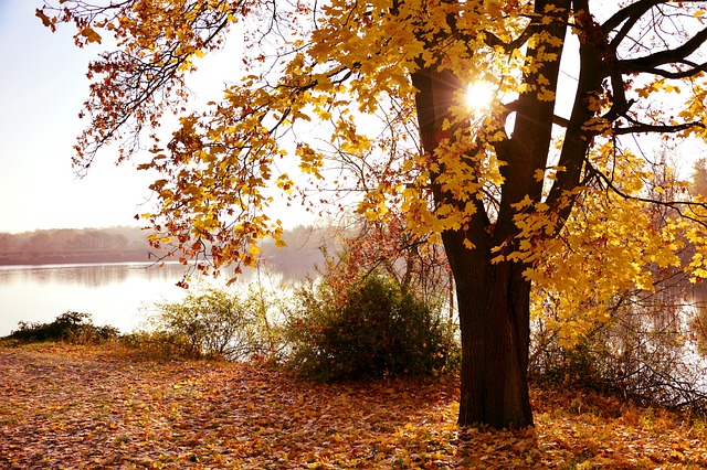 景观 秋天风景 自然 - 上的免费照片