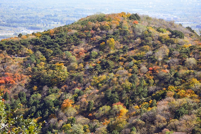 Autumn Beijing Fragrant Hill - 上的免费照片