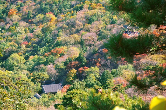 Autumn Beijing Fragrant Hill - 上的免费照片