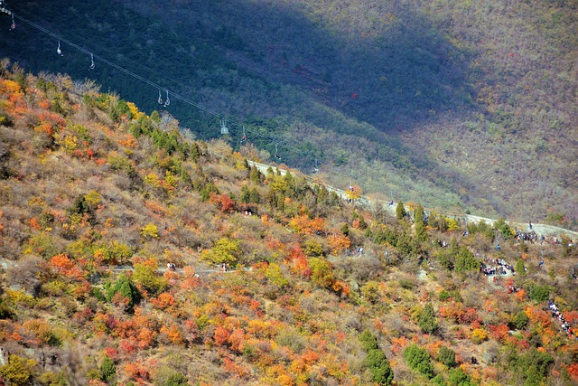 Autumn Beijing Fragrant Hill - 上的免费照片