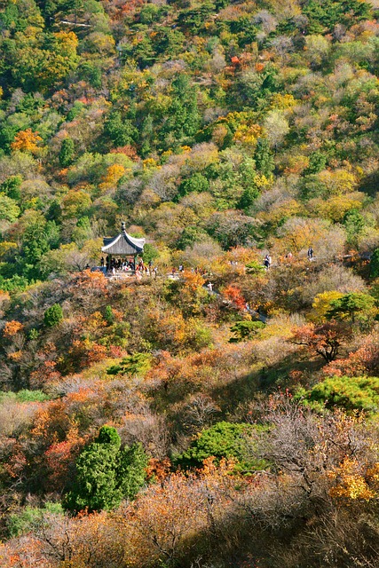 Autumn Beijing Fragrant Hill - 上的免费照片