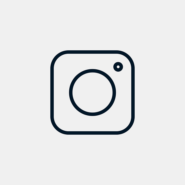 Instagram 社交网络 按钮 - 免费矢量图形