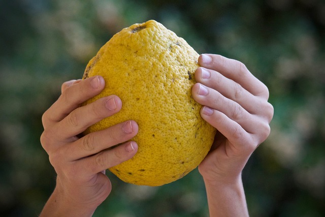 柠檬 柑橘类水果 生物 - 上的免费照片