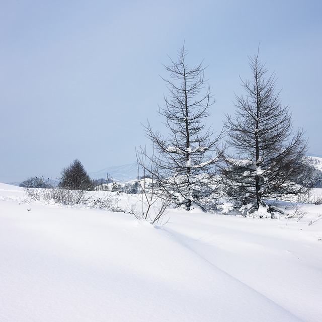 雪景 叙事 雪 - 上的免费照片