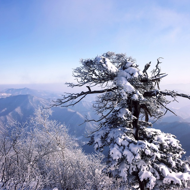 雪景 叙事 雪 - 上的免费照片