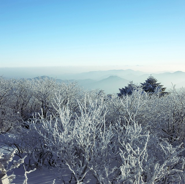 雪景 叙事 雪 - 上的免费照片