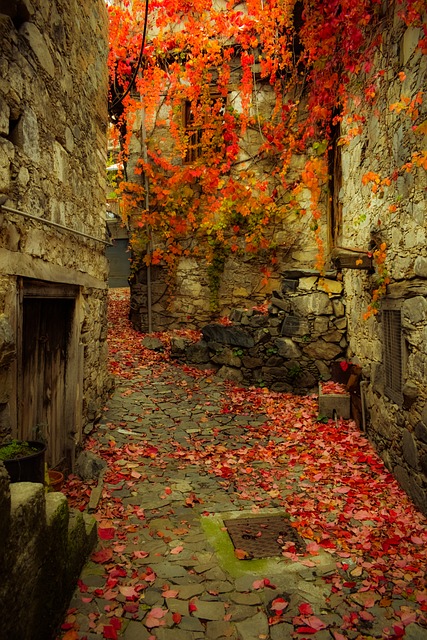 秋天的心情 秋天的颜色 胡同 - 上的免费照片