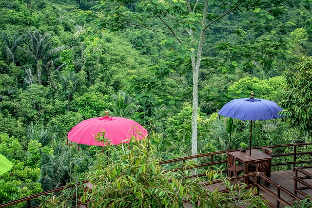 巴厘岛 印度尼西亚 旅行 - 上的免费照片