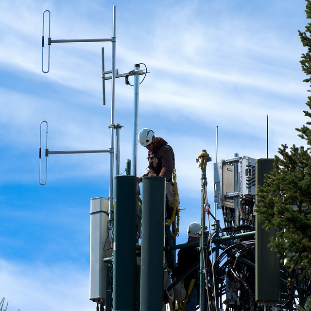 信号山的手机信号塔 蜂窝 塔 - 上的免费照片