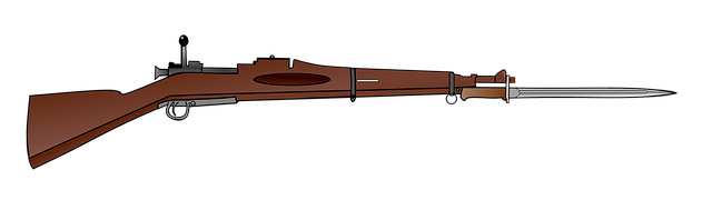 枪 M1903斯普林菲尔德 刺刀 - 上的免费图片