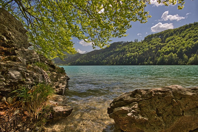 利奥波德Steinersee 施蒂里亚 岩石 - 上的免费照片