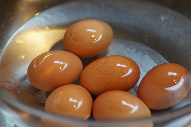 蛋 酿制的 在 - 上的免费照片