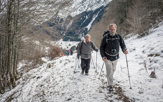 Bouleste 比利牛斯 山 - 上的免费照片