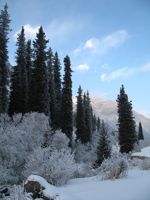 山林 冬天 Tien-Shan - 上的免费照片