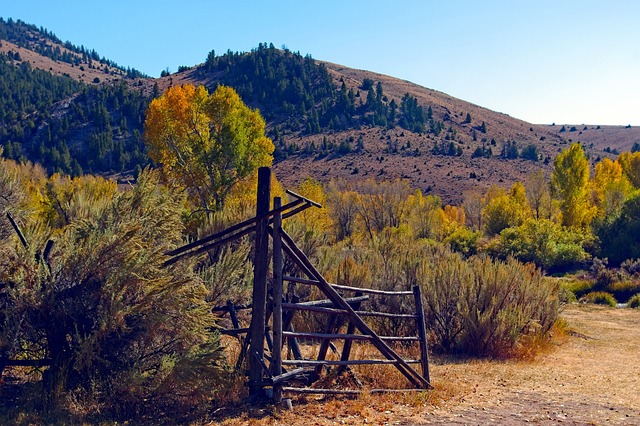 Bannack栅栏 Bannack 蒙大拿 - 上的免费照片