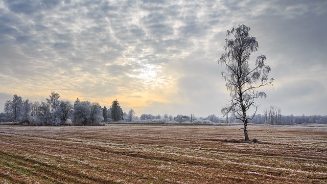 冬季景观 联邦 坏布豪 - 上的免费照片