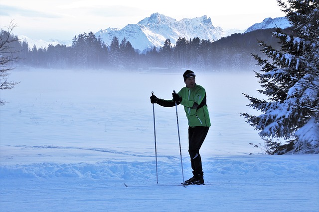 滑雪者 冰冷的 阿尔卑斯山 - 上的免费照片