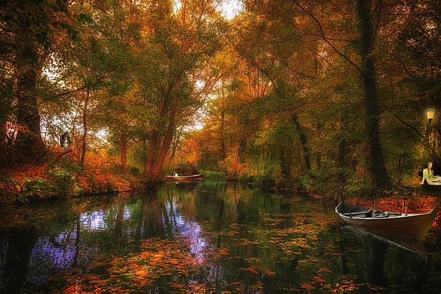 斯普雷瓦尔德 水 渠道 - 上的免费照片