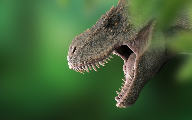 恐龙 霸王龙 迪诺 - 上的免费照片
