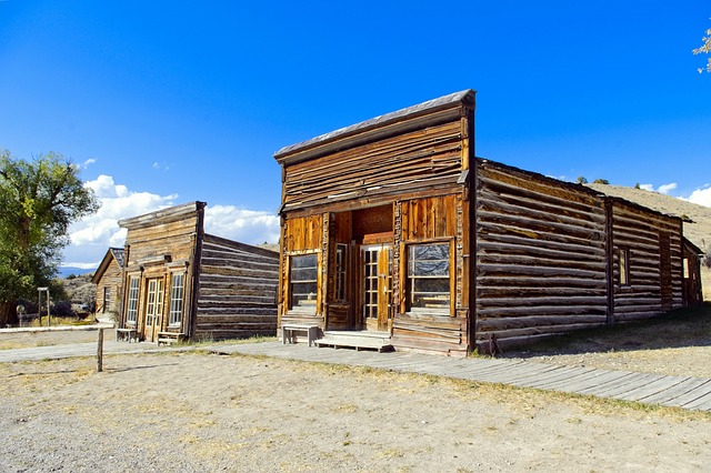 检验局和城市药物 Bannack 状态 - 上的免费照片