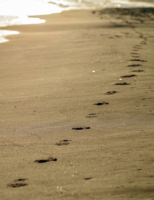 在沙滩上的脚印 追踪 沙 - 上的免费照片